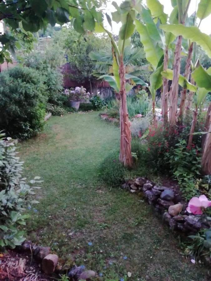 Maison De Famille A Périgueux Dış mekan fotoğraf